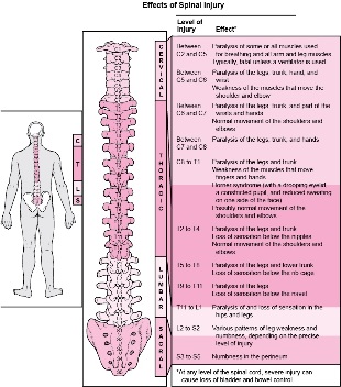 Ασθένειες στο σώμα που σχετίζονται με βλάβες σε διάφορα μέρη της σπονδυλικής στήλης